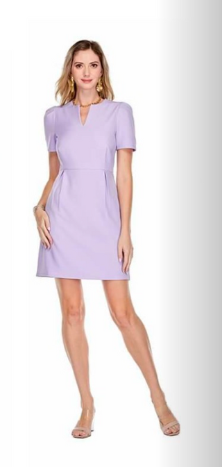 Short Sleeve A-Line Dress in Lilac