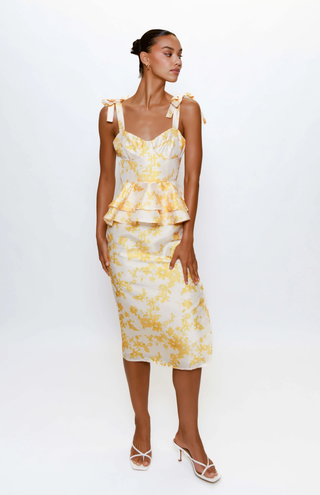 Casa Dress in Champagne Dainty Fuzzy Floral
