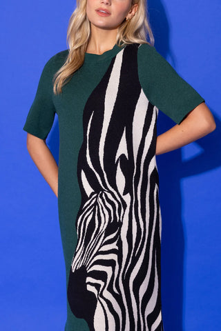 Scout Dress, Wild Silhouette