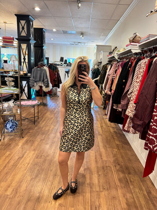 Fitted Zip Dress, Daisy Wild