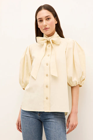 Navi Top in Turtledove