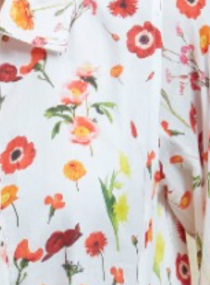 Chloe Short Dress in Red Avignon