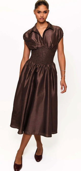 Trevy Dress in Brown
