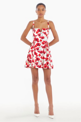 Sarabeth Dress in Poppy Field